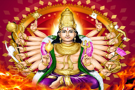 Maha Sudarshana Homa